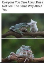 1781805601442.png