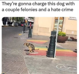 1781874060752.png
