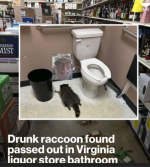 1782081305438.png