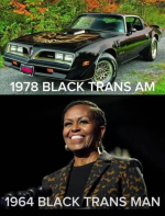1782134599583.png