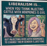 1782135723641.png