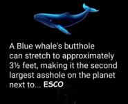 1782139501769.png