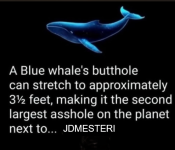1782143797082.png