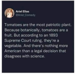 1782219309151.png