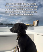 1782219499735.png