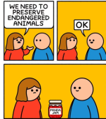 1782223118790.png