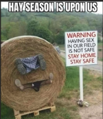 1782228255216.png