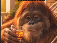 1782235805780.png