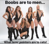1782242837666.png