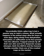 1782308206469.png