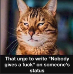 1782328226652.png