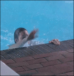img_7083_71a0ad7a5f21bbab31d51e1cec5e7c978d6c71eb.gif