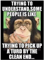 1782395831549.png