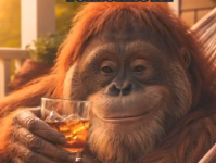 1782404308250.png