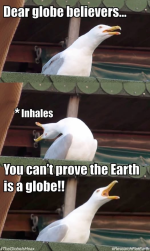 1782409249012.png