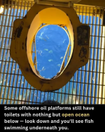1782419312571.png