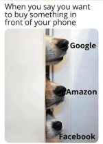 1782474646390.png