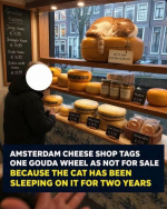 1782481224191.png