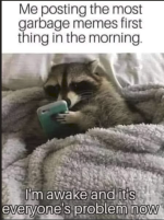 1782481763134.png