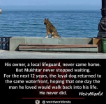 1782482018499.png
