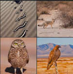 1782576565604.png