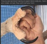 1782584760469.png