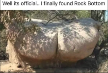1782585022184.png