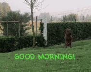 1782739376057.gif