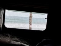 IMG_0830.jpeg