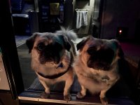 IMG_0837.jpeg