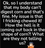 1782822884285.png