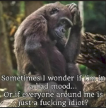 1782836817795.png
