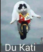 1782857446784.png
