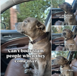 1782909412634.png