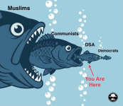 1782991203330.png
