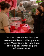 1782995316210.png