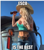1782998563431.png
