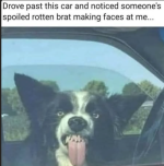 1783000783729.png