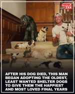 1783088196980.png