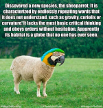 1783089100181.png
