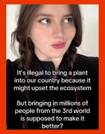 1783259743865.png
