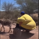 1783261172933.png