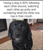 1783261795888.png
