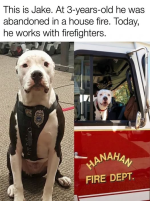 1783343781886.png