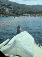 IMG_1220.jpeg