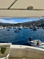 IMG_1224.jpeg