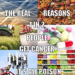 1783425959897.png