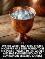 1783425996178.png