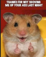 1783518688584.png