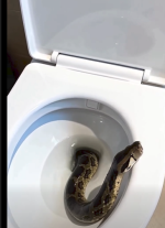 1783527861071.png